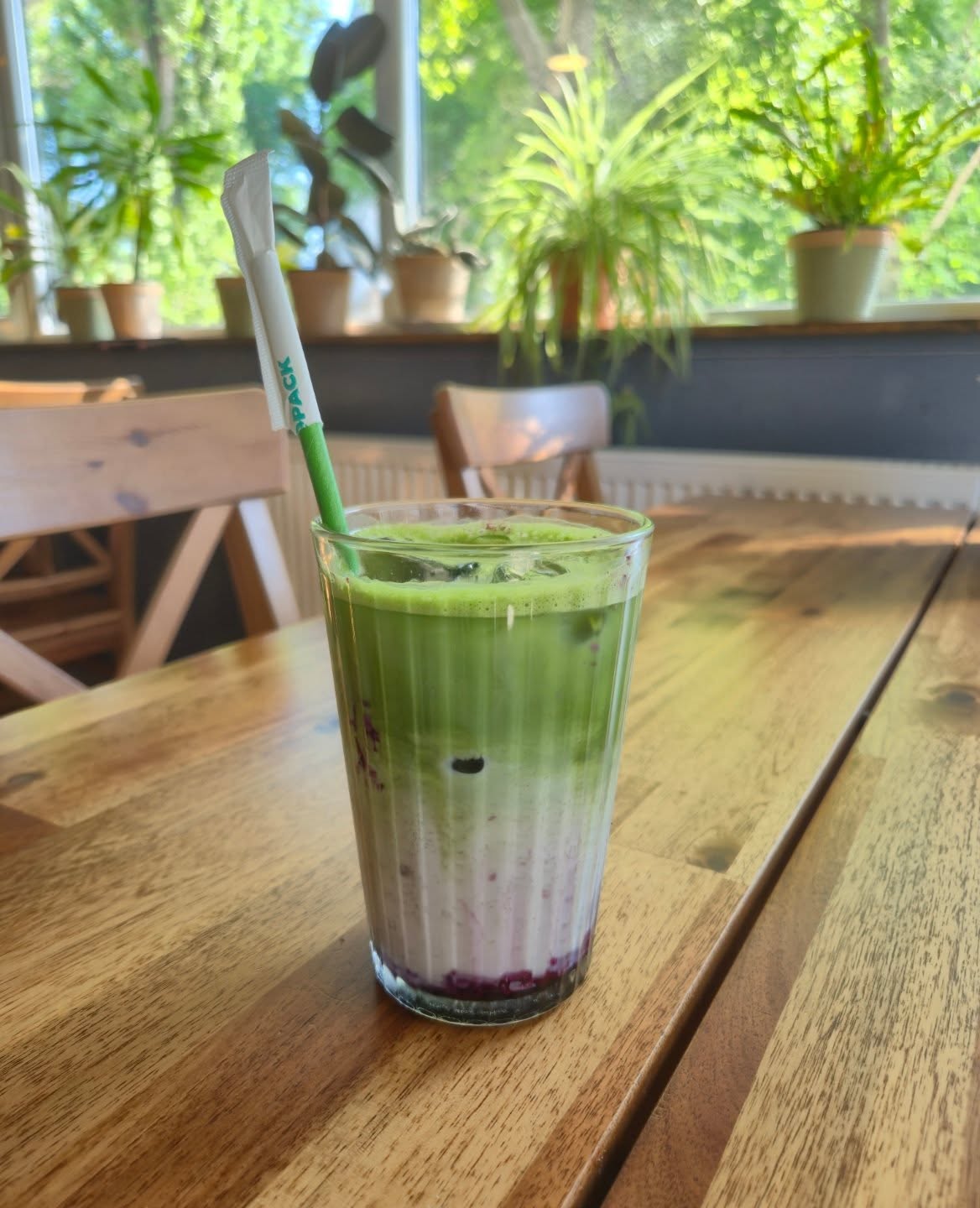 Iced matcha la geam, lângă plante